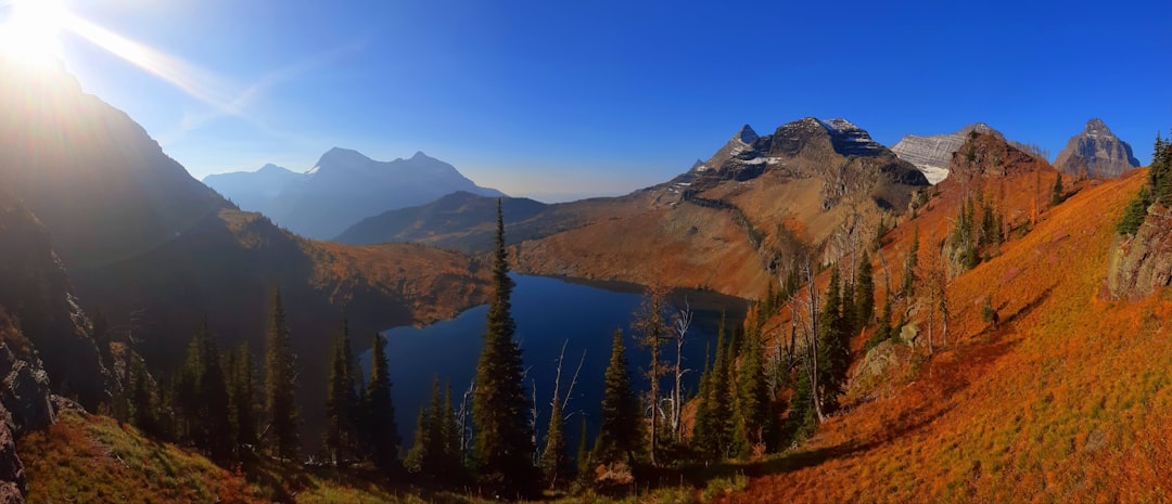 Passport Guide for Wheatland MT: Townsend Steps & Rural Tips