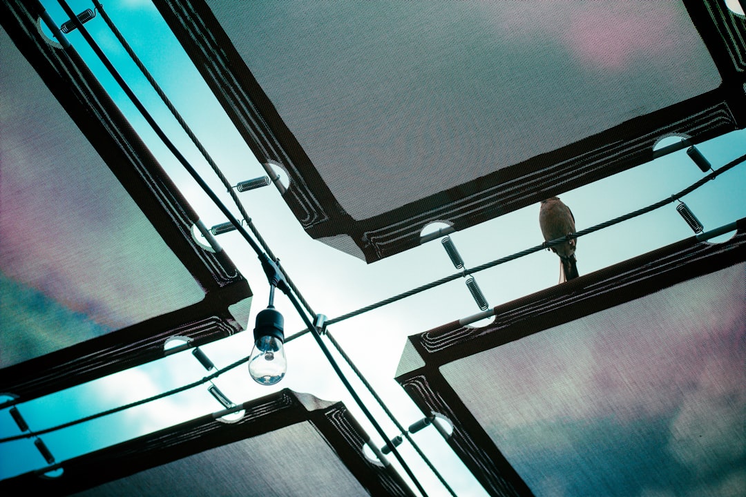 Passport Guide for Wilberforce OH: Facilities Documents Steps