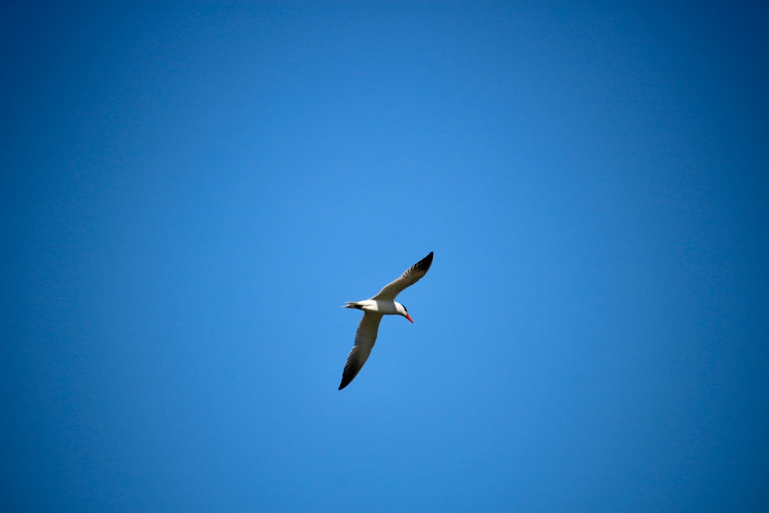 Passport Guide for Wilmington Manor, DE: Steps & Facilities