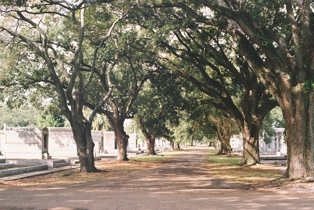 Passport Guide for Woodworth LA: Alexandria Facilities & Steps