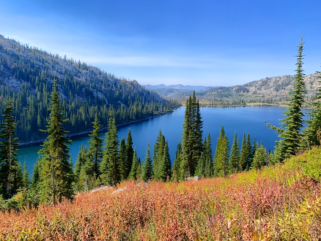 Passport Guide for Worley ID: Steps, Coeur d'Alene Offices