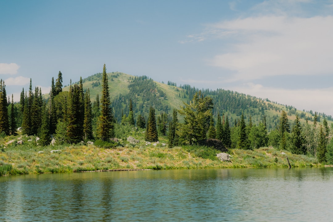Passport Guide for Yellow Pine ID: Steps Facilities Fees