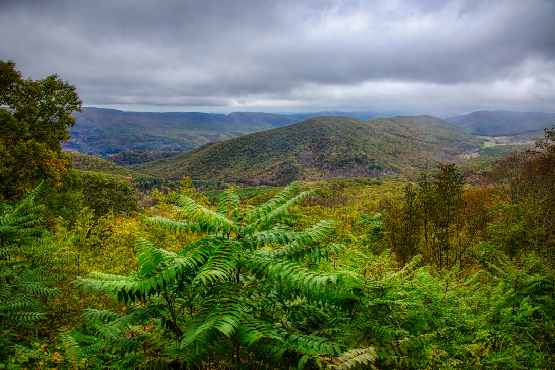 Passport Guide for Yorkshire, VA: Apply, Renew, Replace Steps