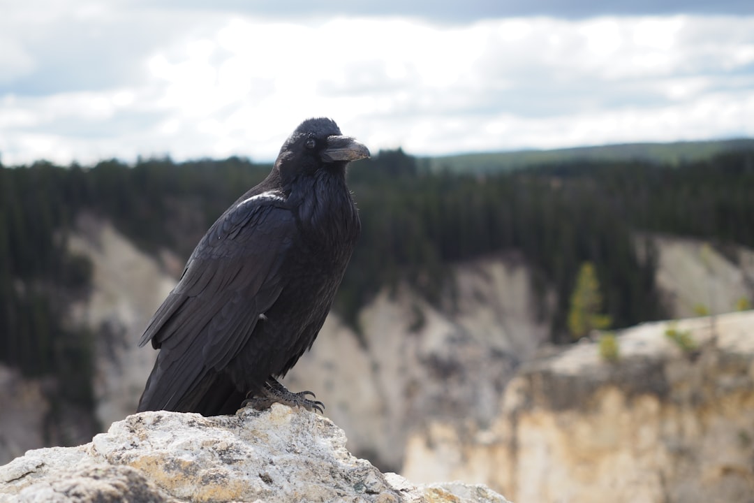 Passport Guide Green River WY: First-Time, Renewals, Facilities