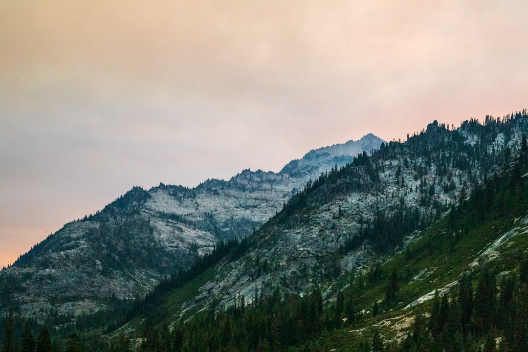 Passport Guide Herald CA: Apply Renew Photos Facilities