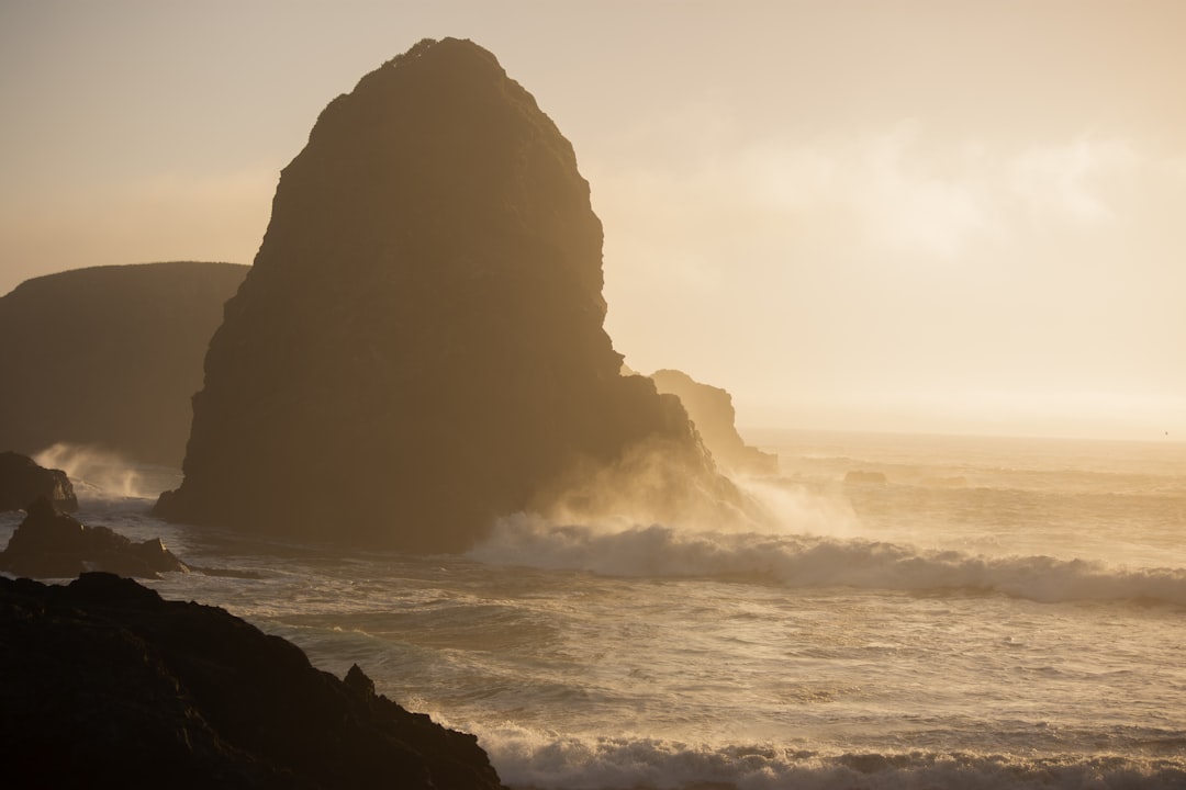 Passport Guide Kings Valley OR: Facilities, Steps, Tips
