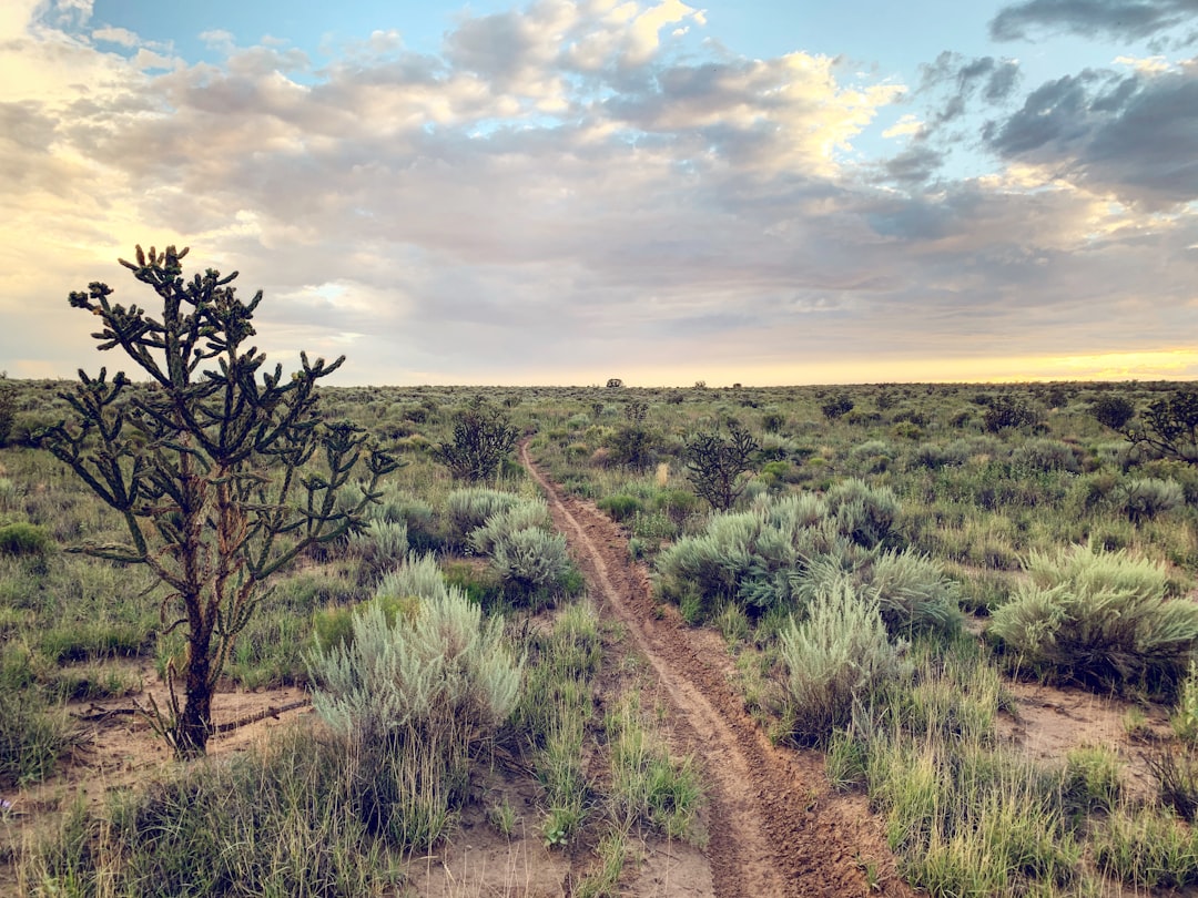 Passport Guide Napi Headquarters NM: Facilities Forms Fees