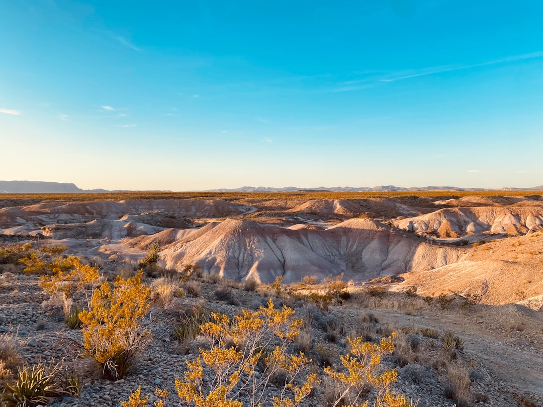 Passport Guide Opdyke West TX: Forms Photos Levelland Facilities
