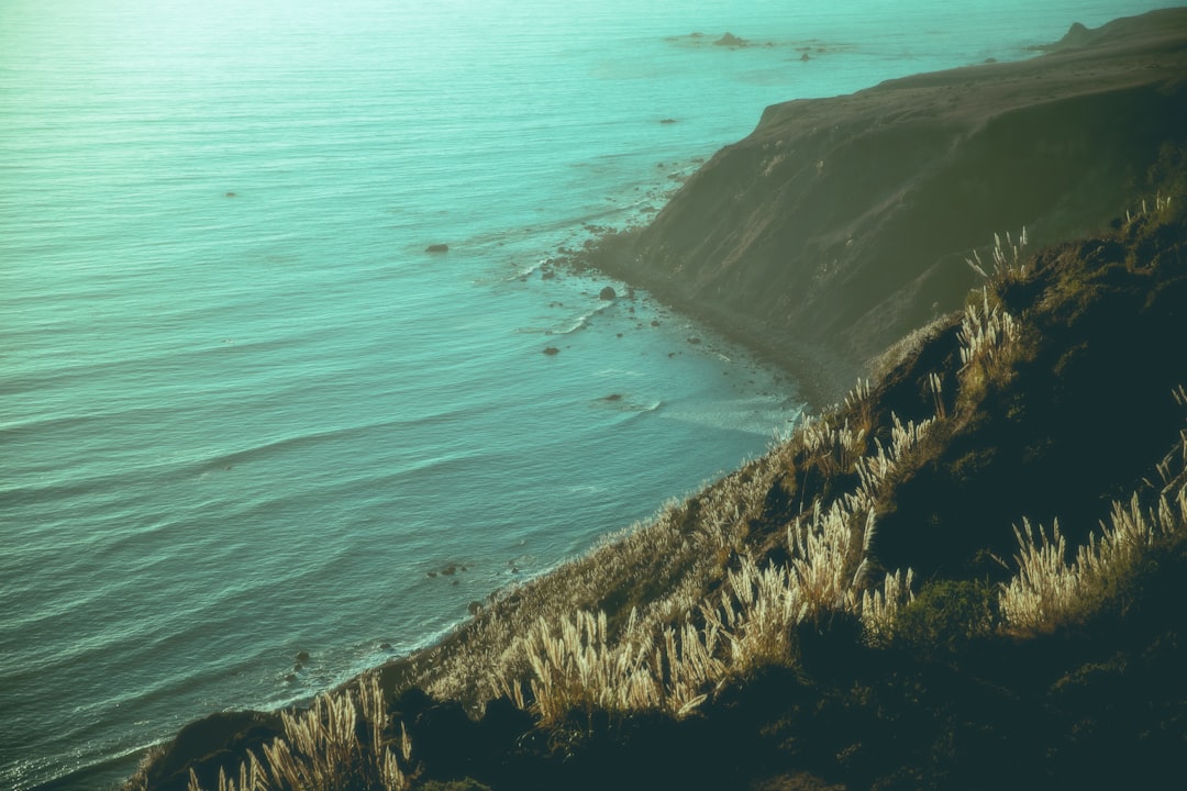 Passport Guide San Simeon CA: Forms, Facilities, Timelines