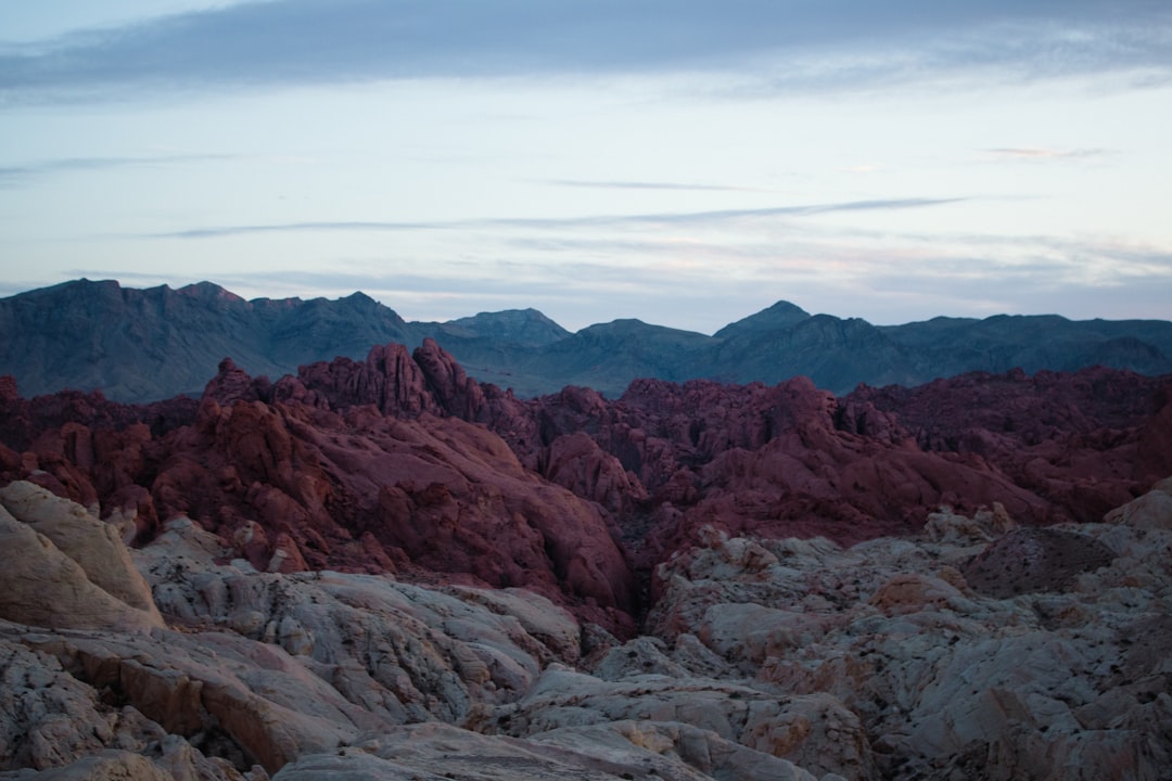 Passport Guide Spanish Springs NV: Facilities, Steps & Renewals