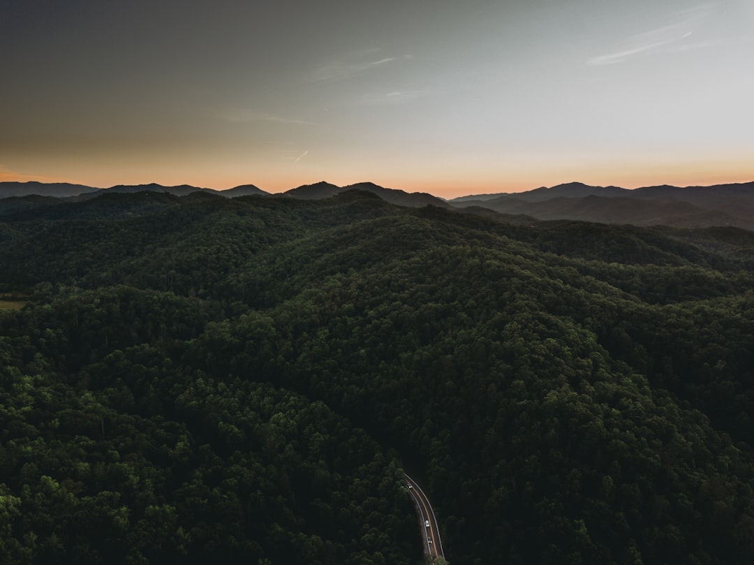 Passport Guide Tazewell TN: Apply Renew Replace Facilities