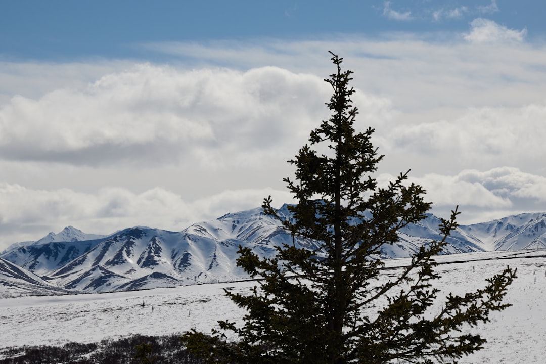 Passport Guide Tonsina AK: Glennallen PO, Valdez Steps