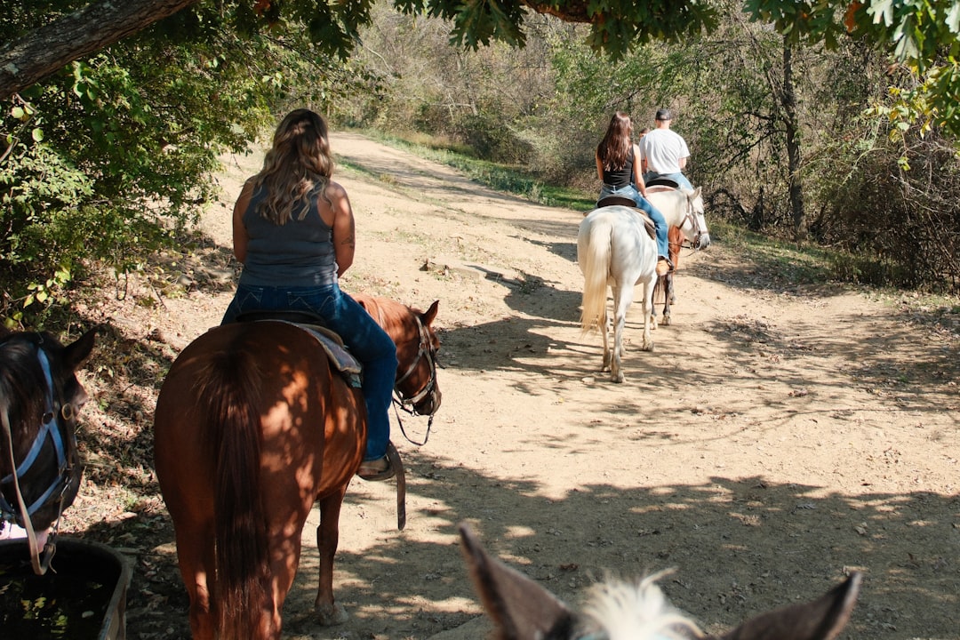 Passport Guide: West Brownsville PA Forms, Facilities, Checklists