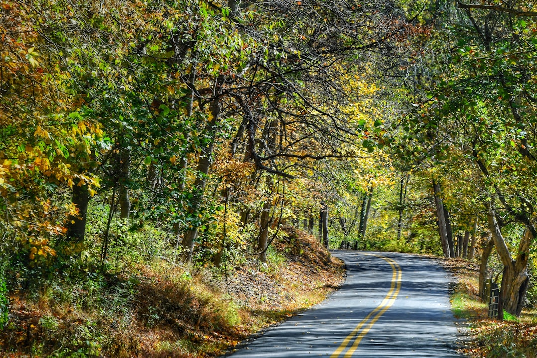 Passport in Handley WV: First-Time, Renewal, Lost Guide