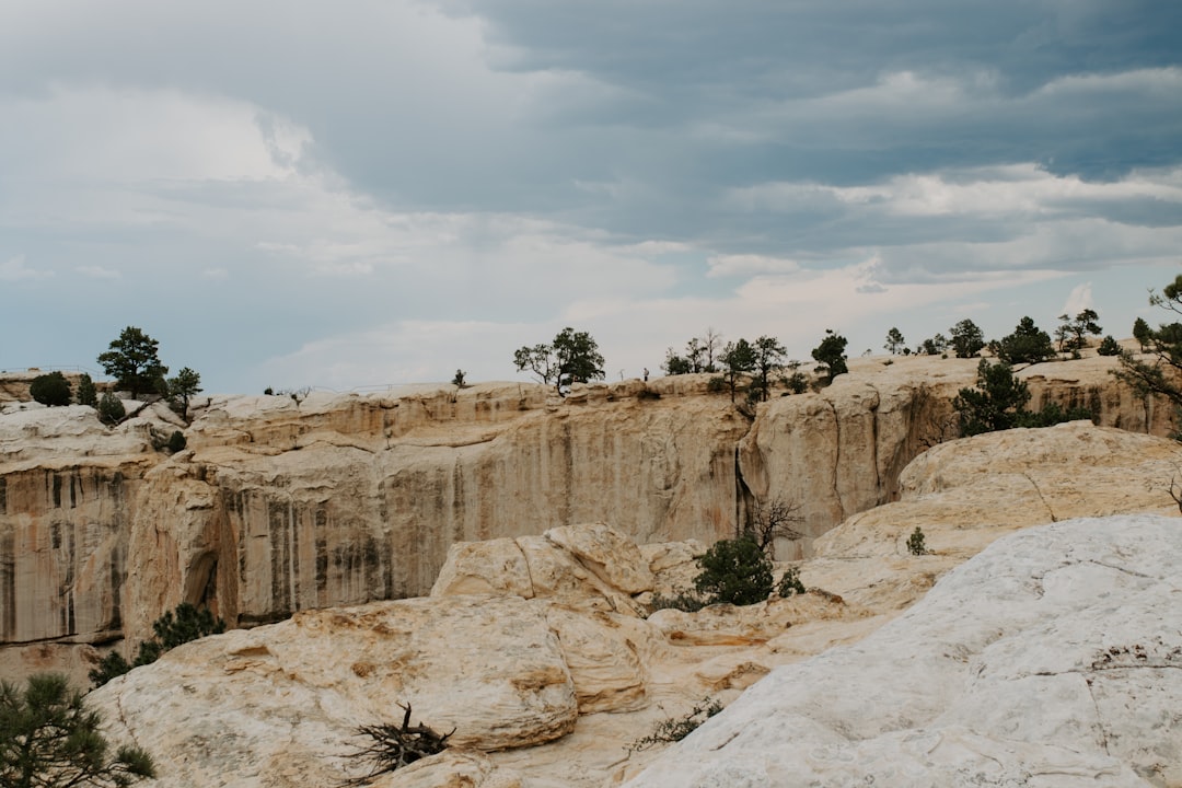 Passport in Pleasanton NM: Nearest Facilities & Steps