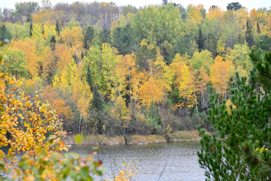 Passport in Searles, MN: Application Steps & Nearby Facilities