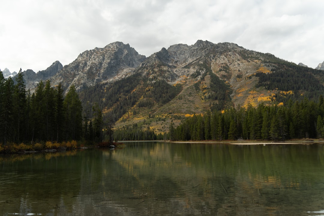 Passport in Slater, WY: Application Guide & Local Facilities
