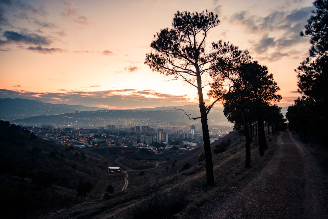 Passport Services in Georgia: Applications, Locations & Timelines