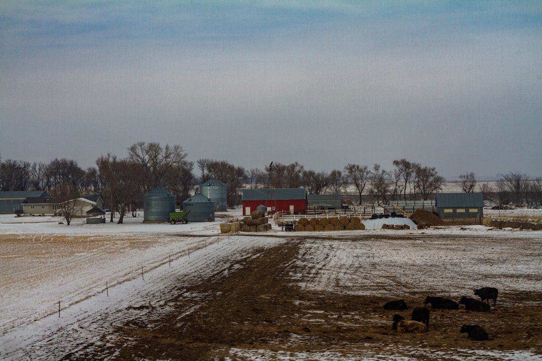 Passport Services Guide for Lower Brule SD Residents