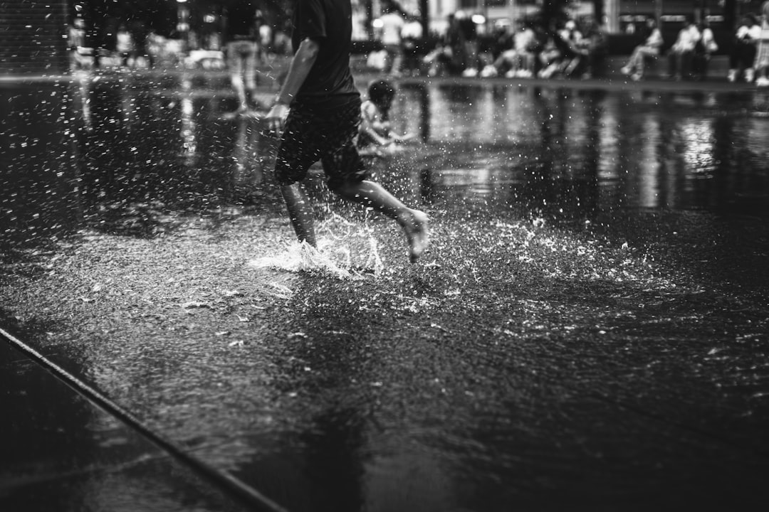 Passport Services in Illinois: Applications, Locations & Timelines