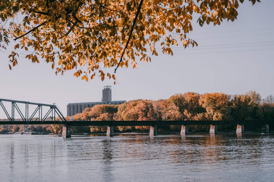 Passport Services in Bovina, MS: Vicksburg Facilities & Steps