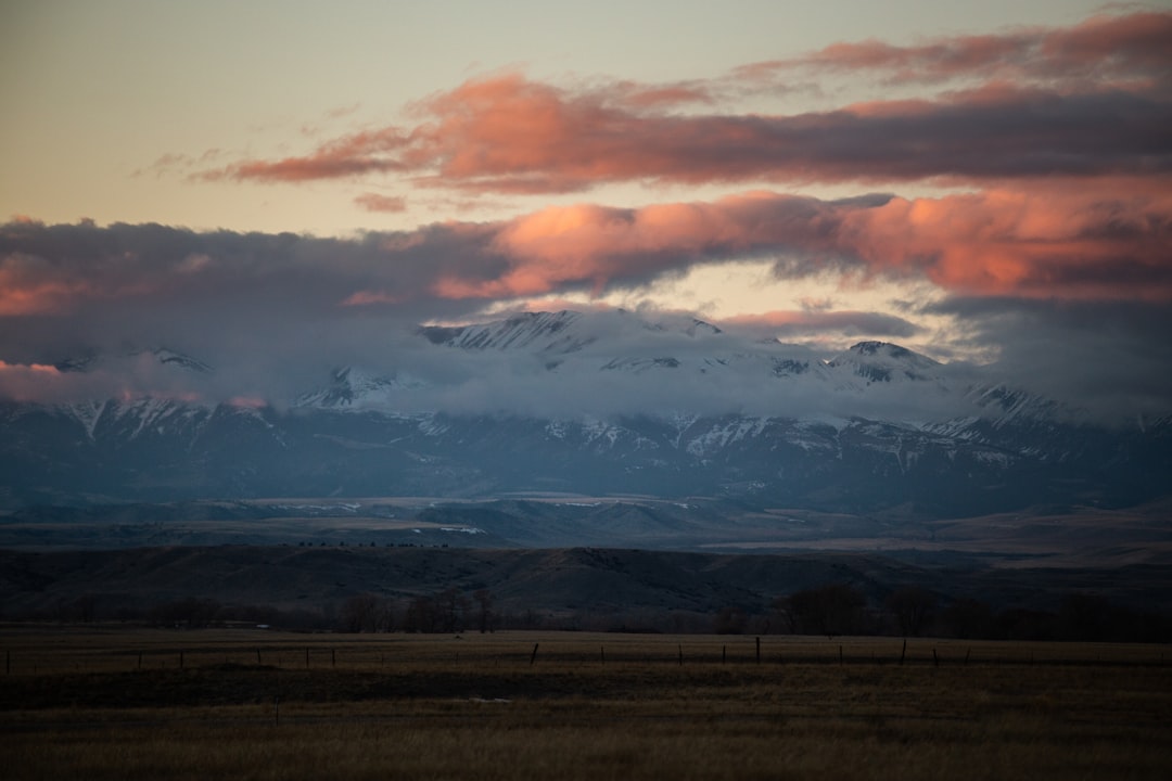 Passport Services in Glendive, MT: Facilities & Guide