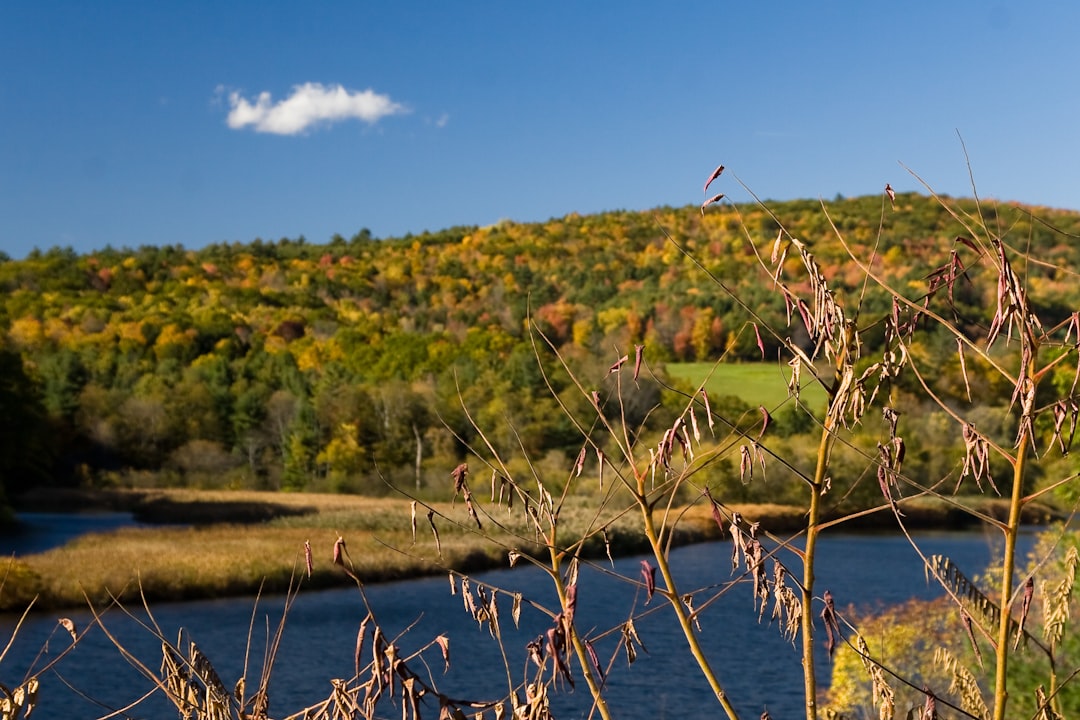 Passport Services in Harmonyville, VT: First-Time, Renewals Guide
