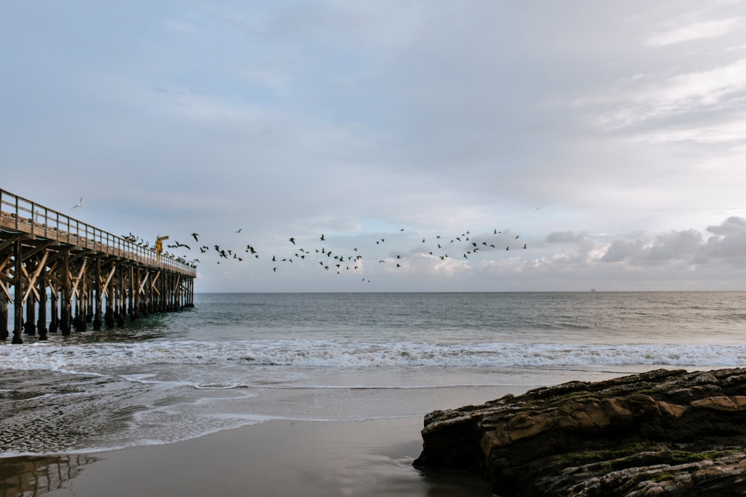 Passport Services in Indianola, CA: Facilities & Application Guide