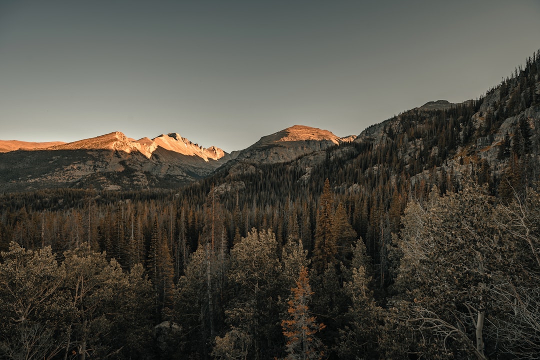 Passport Services in Loghill Village, CO: Apply, Renew, Replace