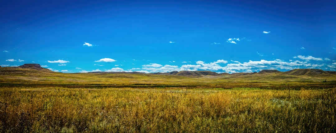 Passport Services in Nelson, NE: Forms, Facilities & Tips