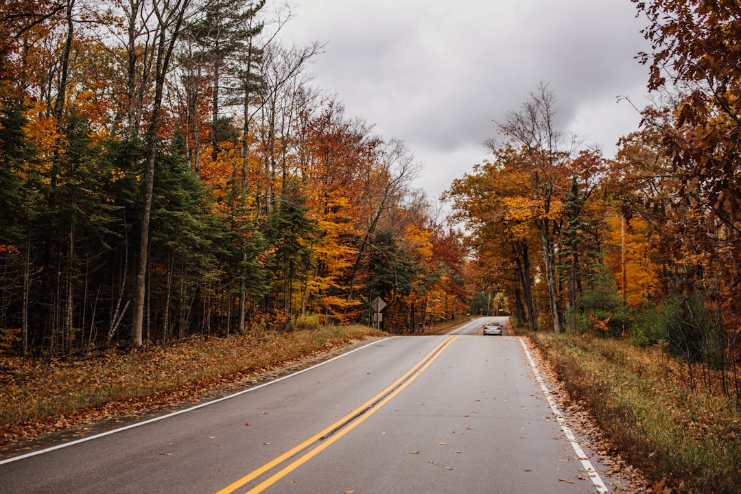 Passport Services in Zoar, WI: Complete Step-by-Step Guide
