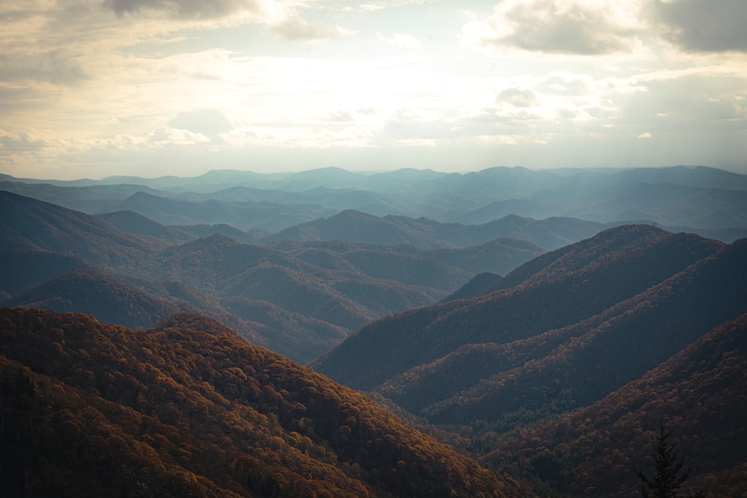 Peachland, NC Passport Guide: Facilities, Forms & Application Steps