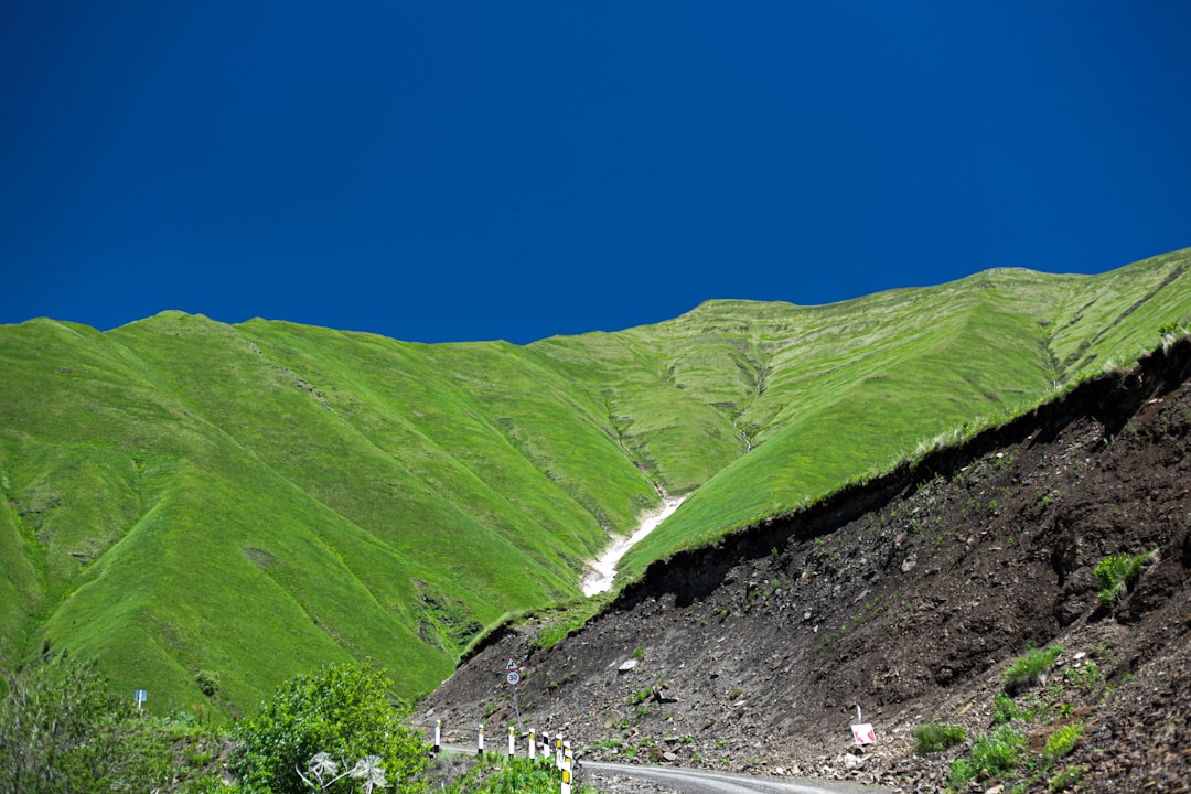 Pembroke, GA Passport Guide: First-Time & Renewal Steps