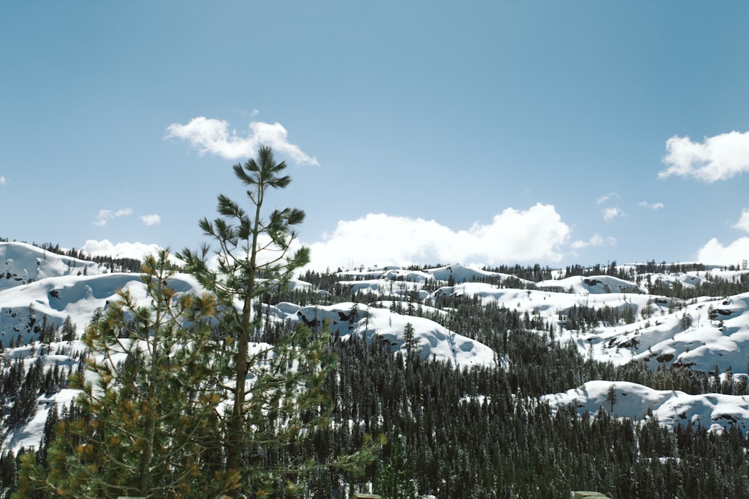 Petaluma Center, CA Passport Services: Steps, Facilities, Tips