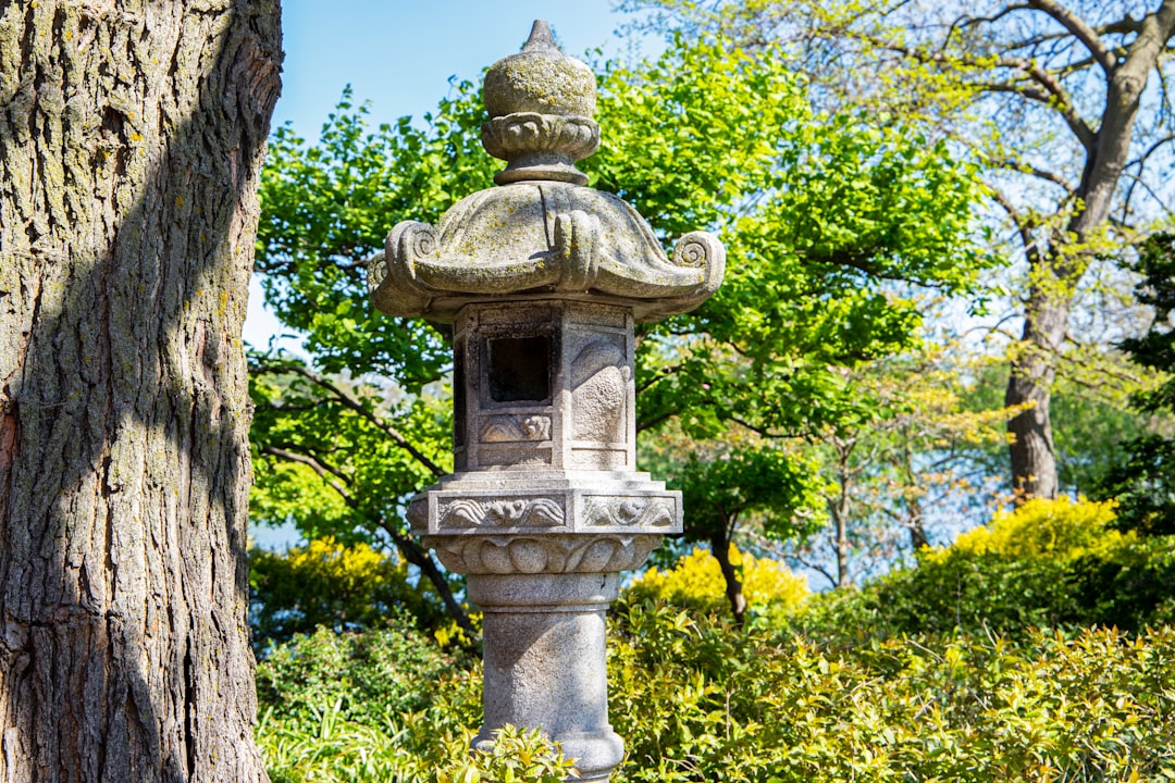 Phoenix, IL Passport Guide: Facilities, Forms & Checklists