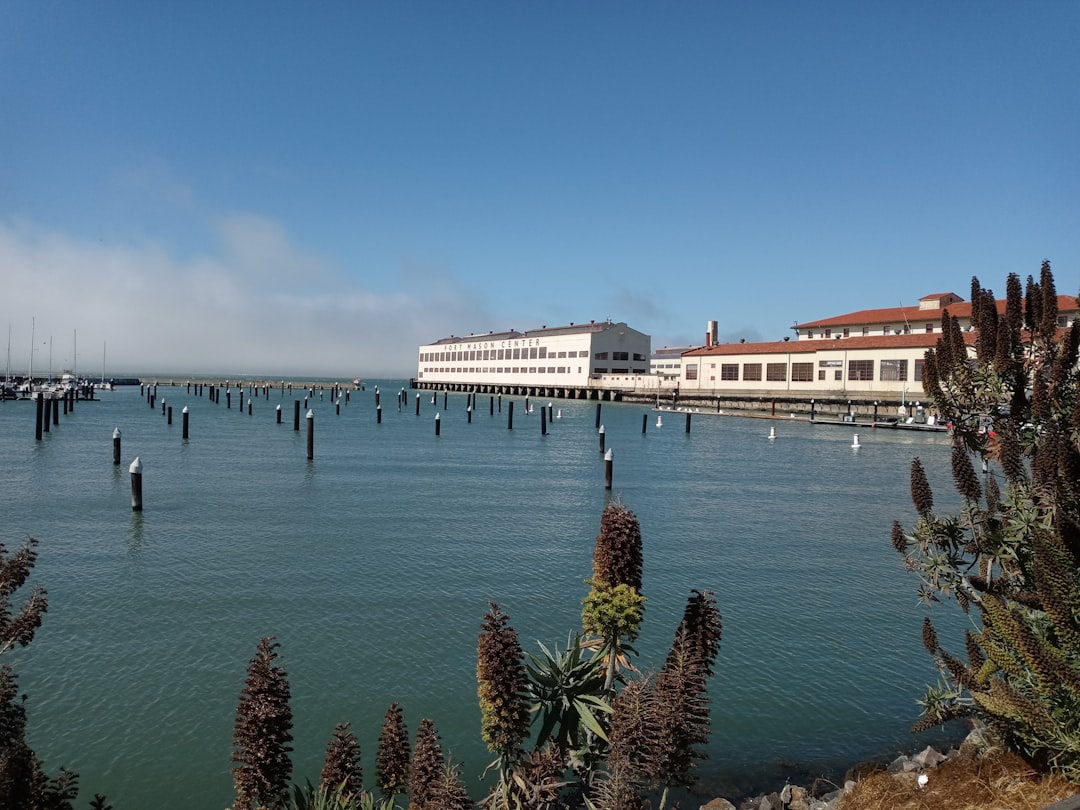 Pine Flat CA Passport Guide: Apply, Renew, Local Facilities