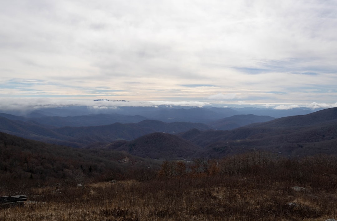 Piperton TN Passport Guide: Steps, Facilities & Times