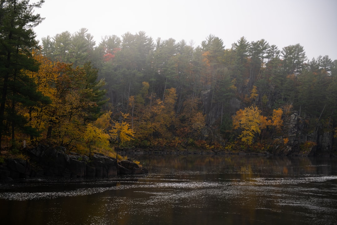 Plummer MN Passport Guide: Facilities, Forms, Photos Nearby