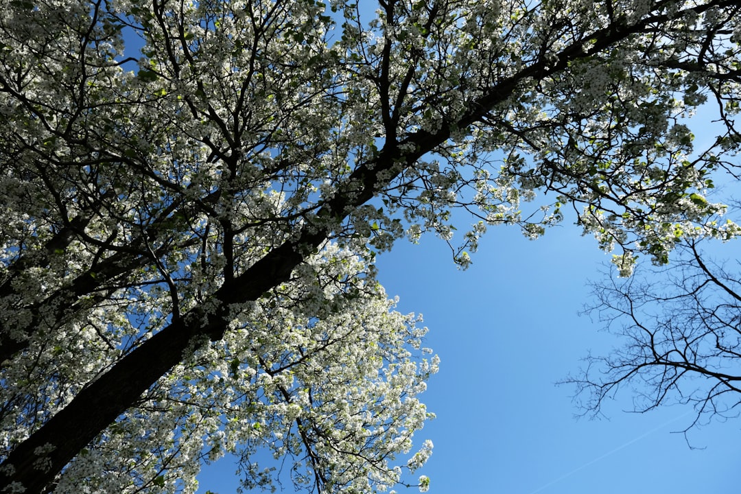 Point Pleasant NJ Passport Guide: Apply, Renew, Local Facilities