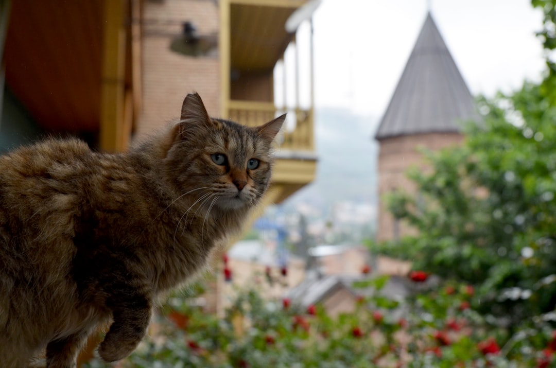 Pooler GA Passport Guide: First-Time, Renewal, Expedite Steps