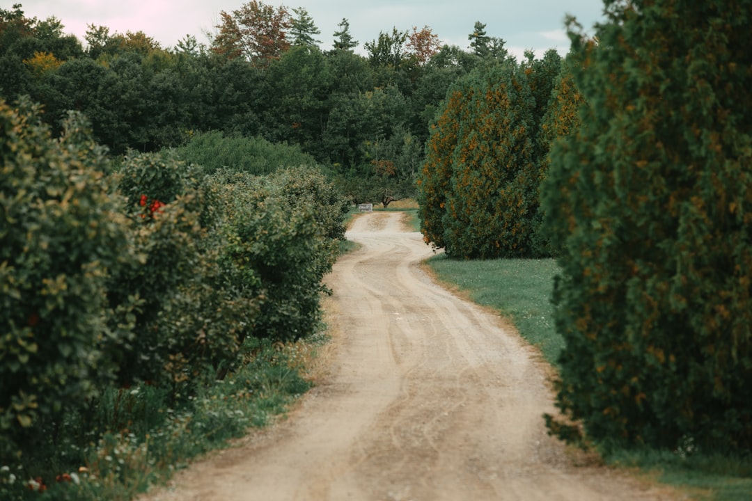 Popponesset, MA: Complete Guide to Passport Applications & Renewals