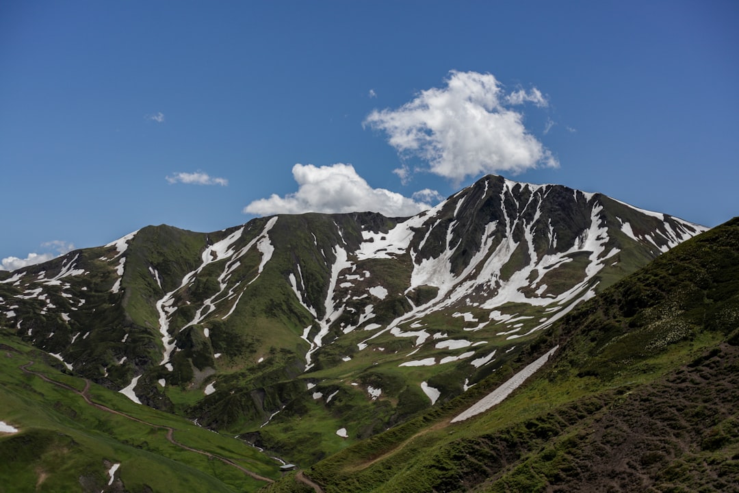 Portal, GA Passport Guide: First-Time, Renewals & Local Facilities