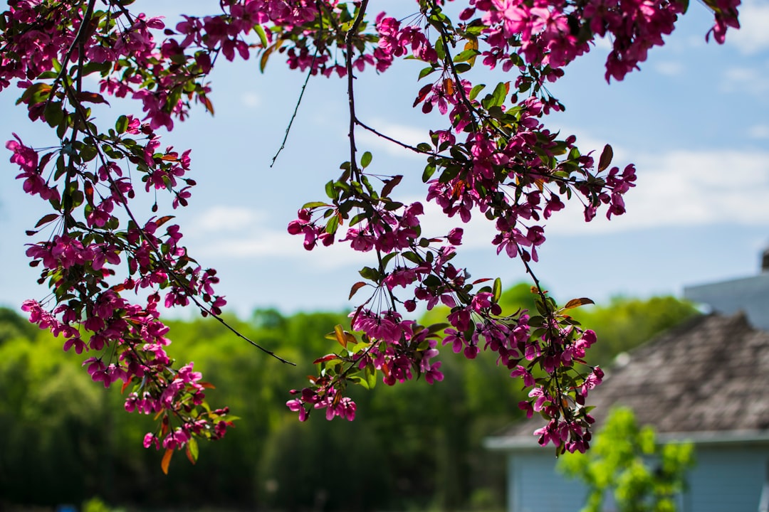 Proctor MN Passport Guide: First-Time, Renewal & Facilities