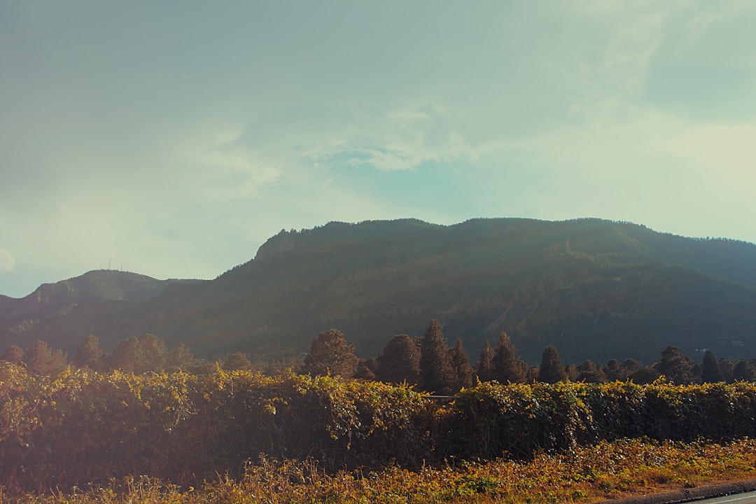 Redvale CO Passport Guide: Facilities, Forms & Application Steps