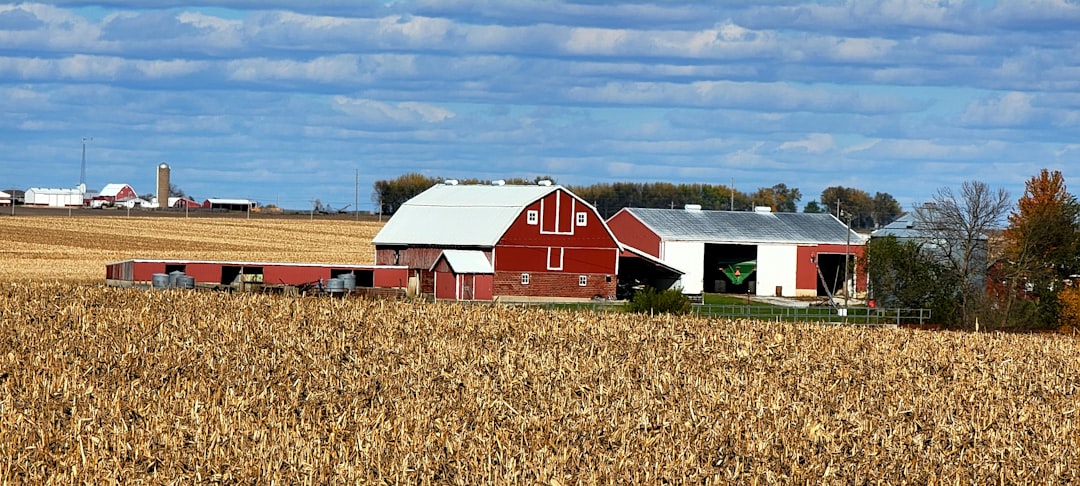 Rickardsville IA Passport Guide: Application Steps & Facilities