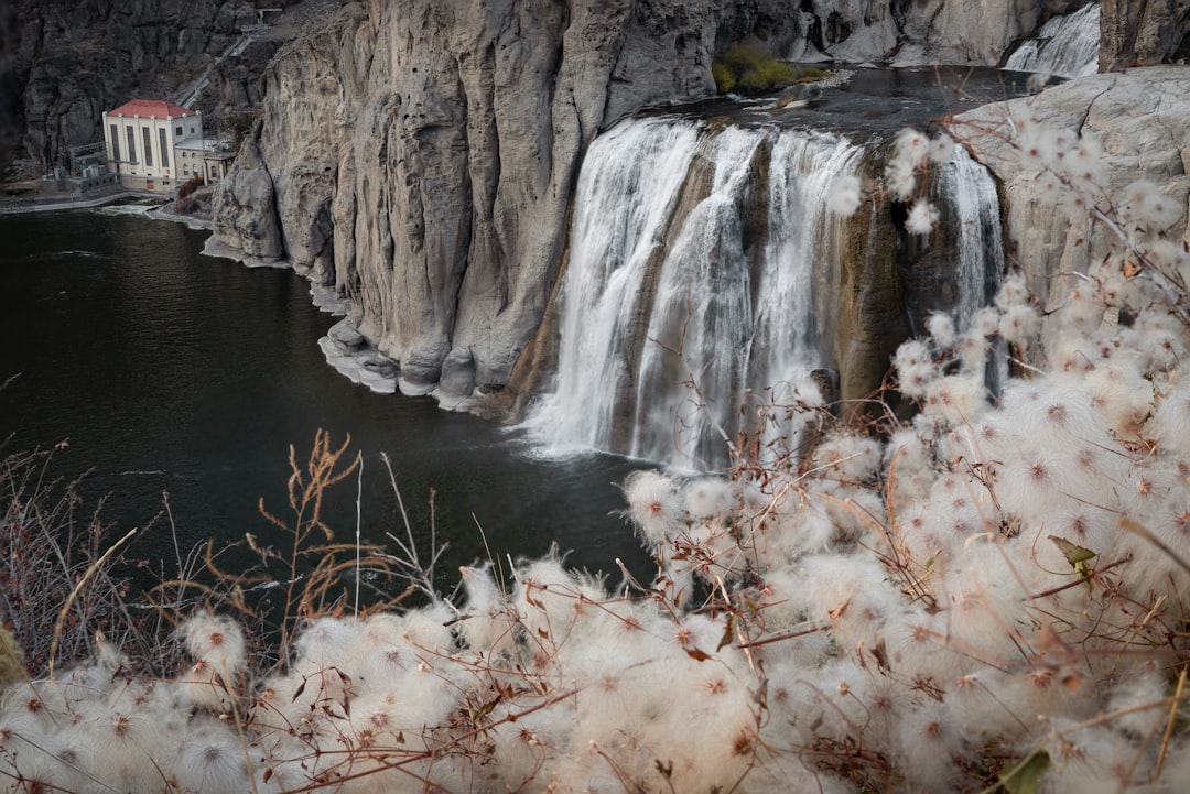 Rockland ID Passport Guide: Facilities, Forms, Fees & Tips