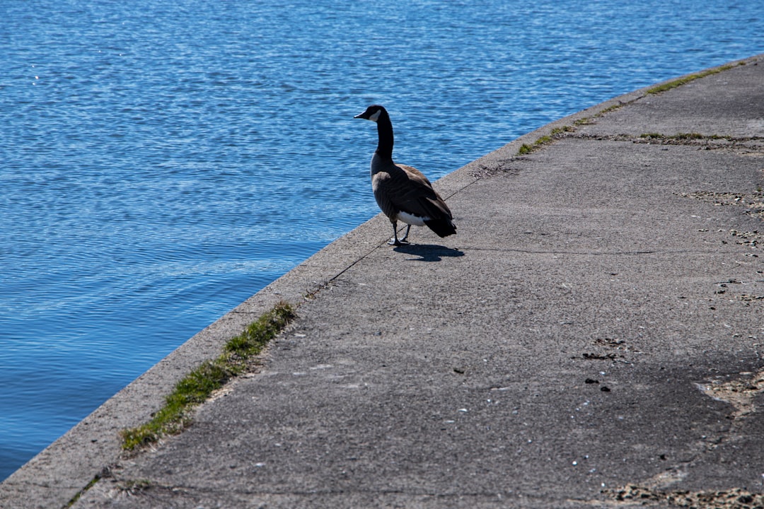 Roseville MI Passport Guide: First-Time, Renewals & Local USPS