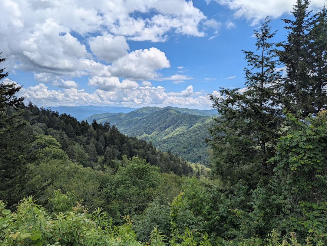 Rossville TN Passport Guide: Steps, Facilities & Documents