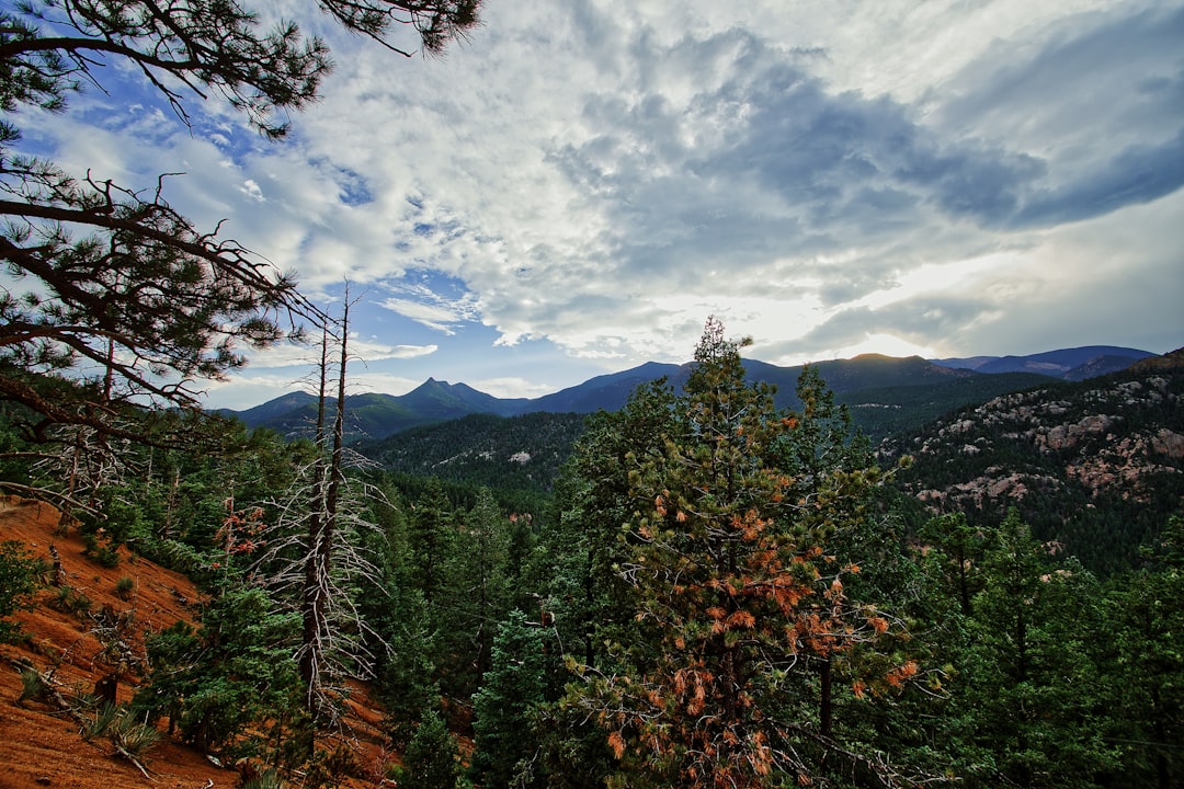 Roxborough Park, CO Passport Guide: Forms, Facilities & Steps