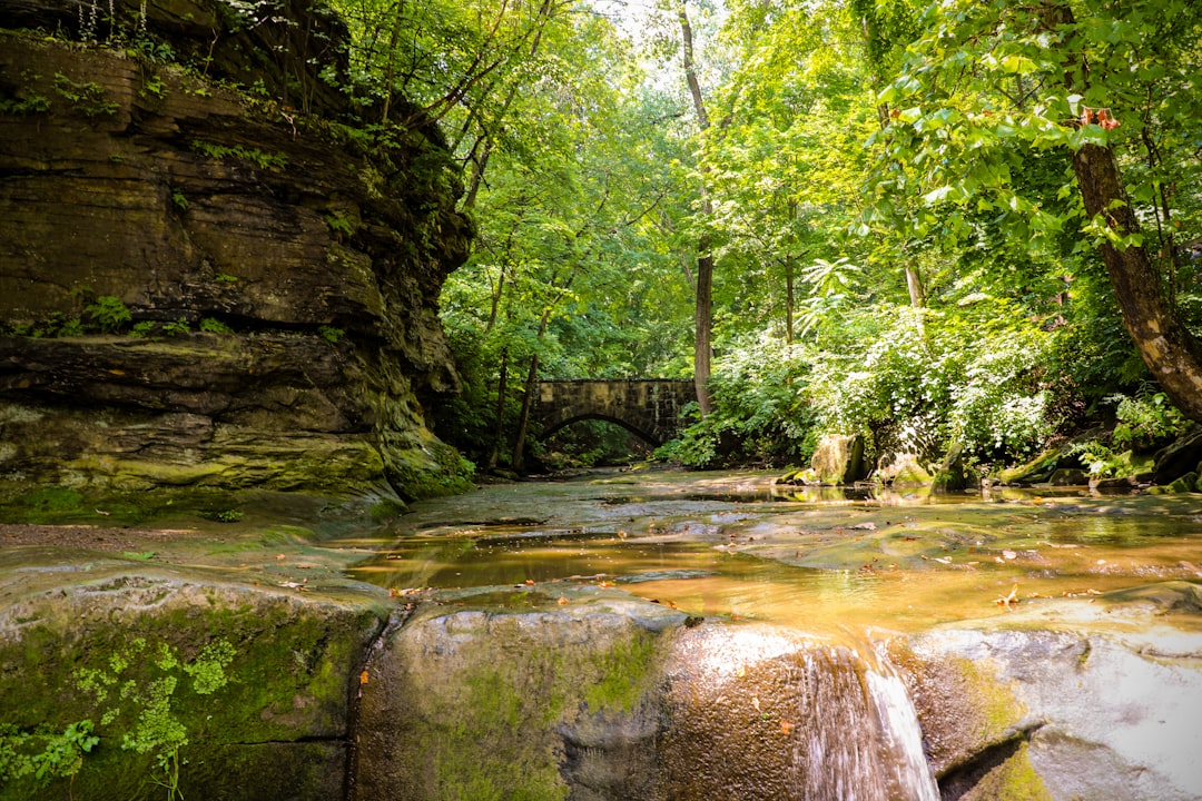 Rushville OH Passport Guide: Local Facilities, Forms & Requirements